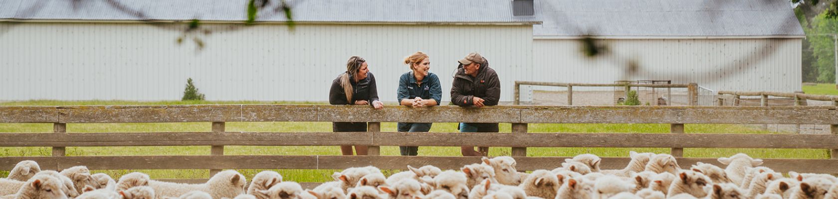 Virbac Company profile - 1